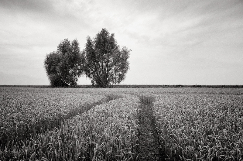  - The Somme