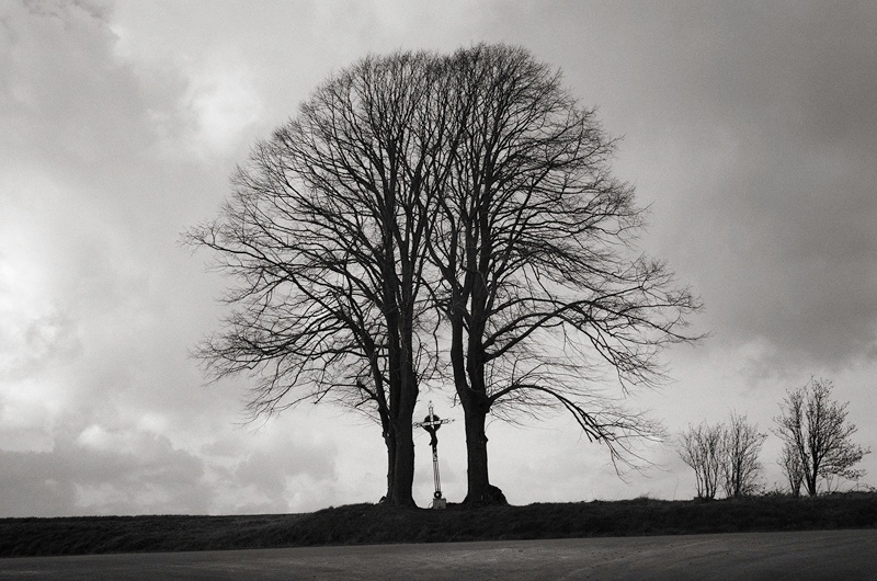 Bazentin Crucifix Somme by Toby Webster