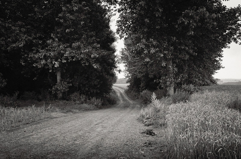 - The Somme