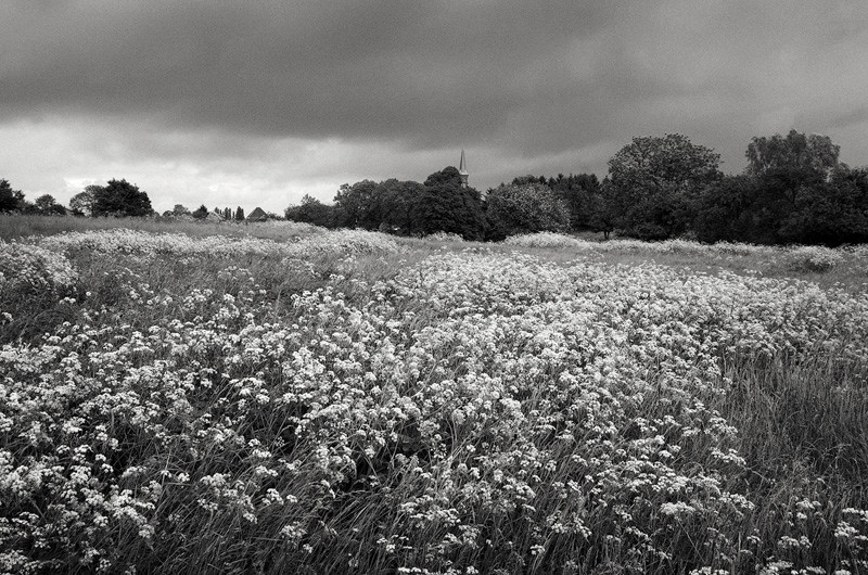 - The Somme