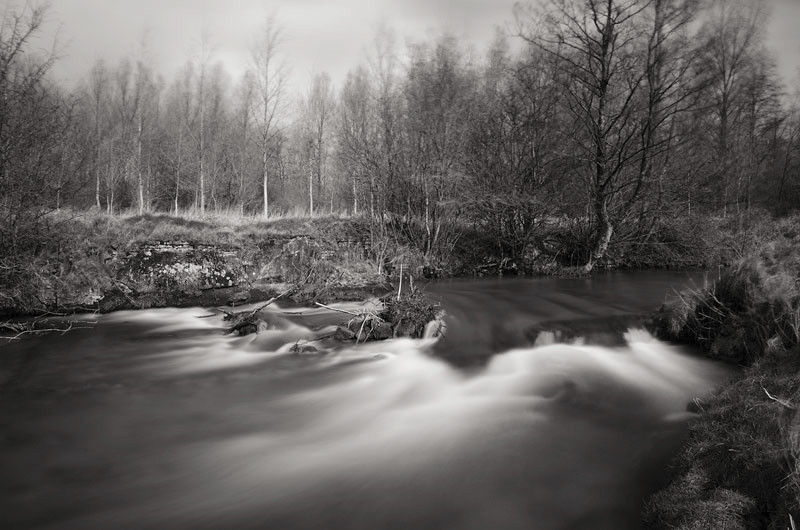 - The Somme