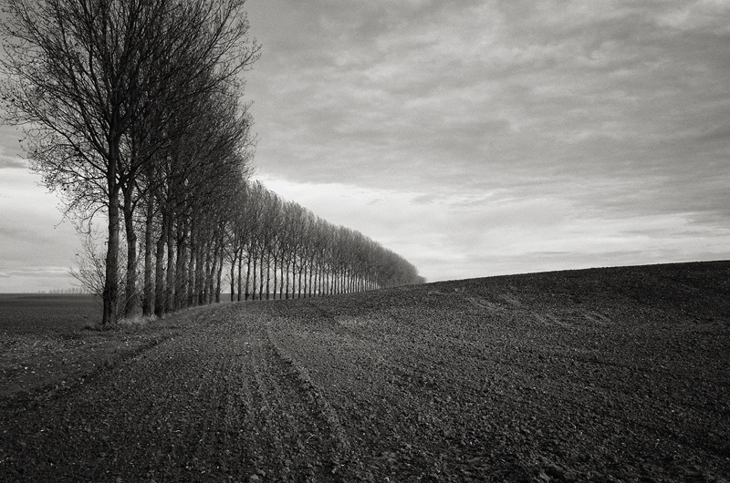 Thiepval, Somme by Toby Webster