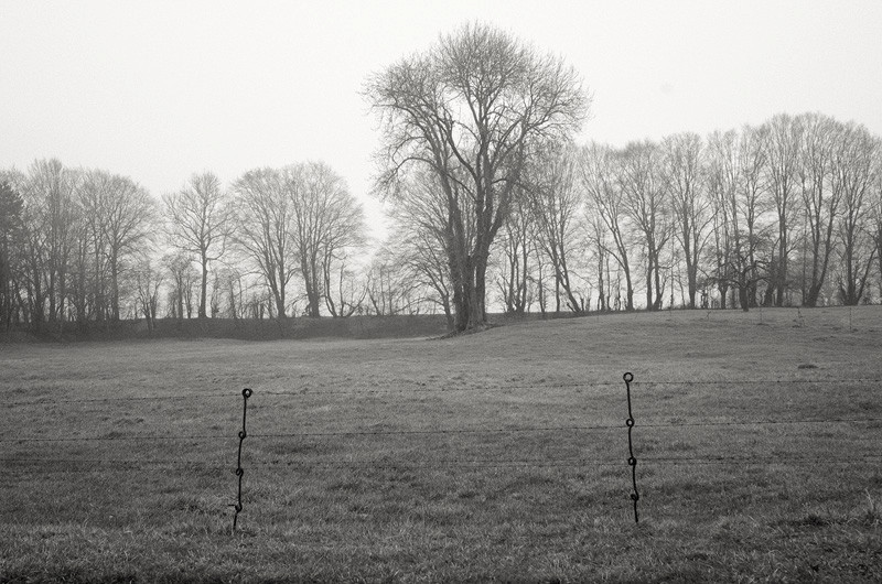 - The Somme