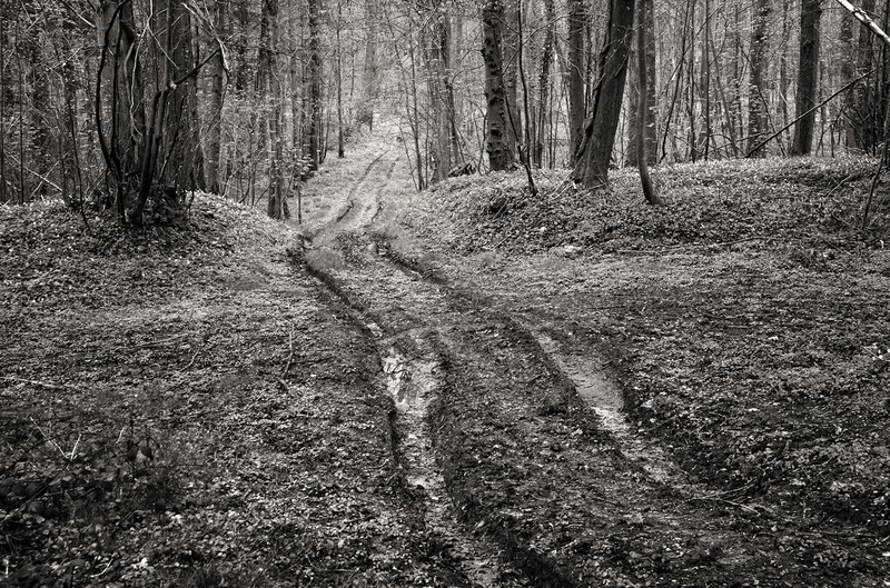  - The Somme