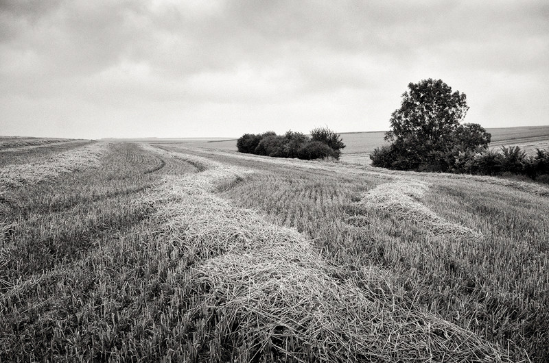  - The Somme