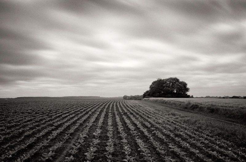  - The Somme