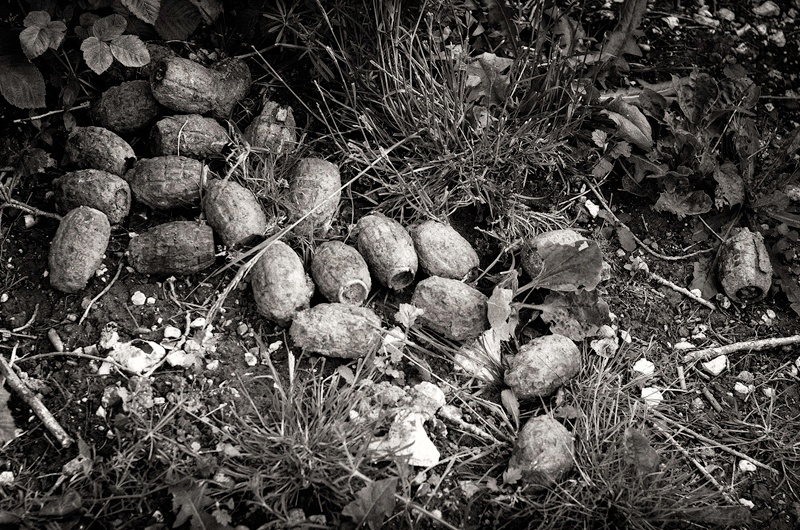 - The Somme