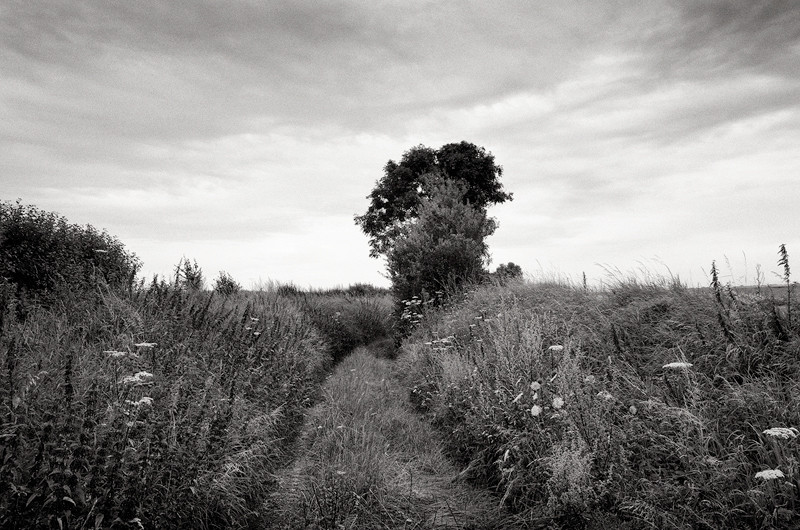  - The Somme