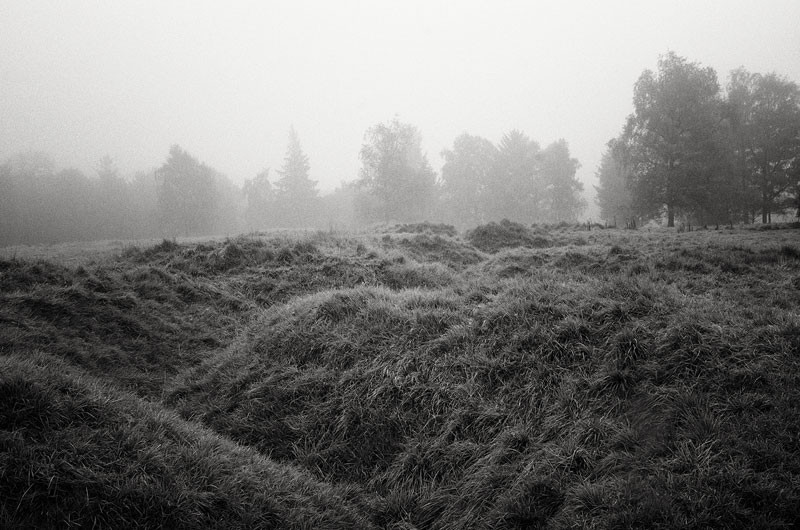 - The Somme