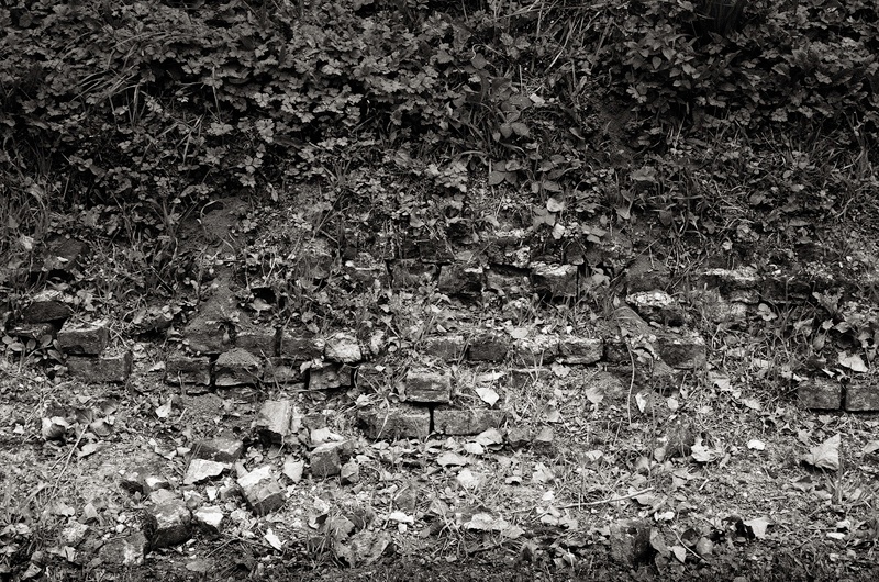 Shattered Wall, Lesboeufs, Somme by Toby Webster