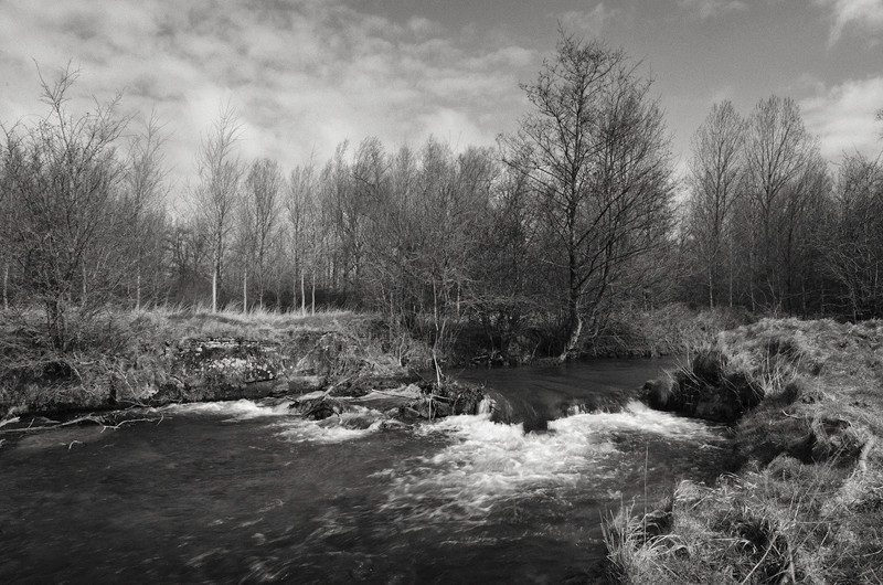 - The Somme