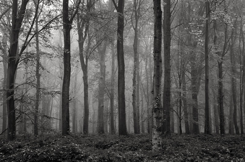 - The Somme