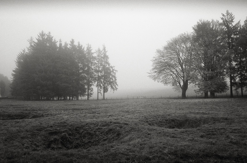 Newfoundland Memorial Park, Beaumont Hame,l Somme by Toby Webster