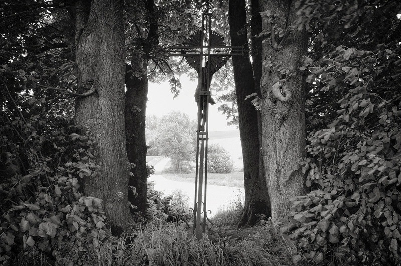Bazentin Calvary, Somme by Toby Webster
