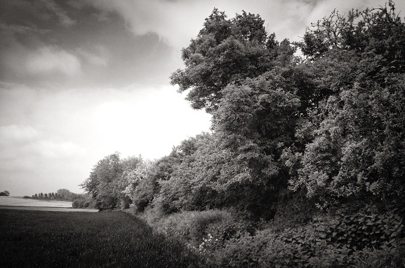 The Queens Nullah, Mametz, Somme by Toby Webster