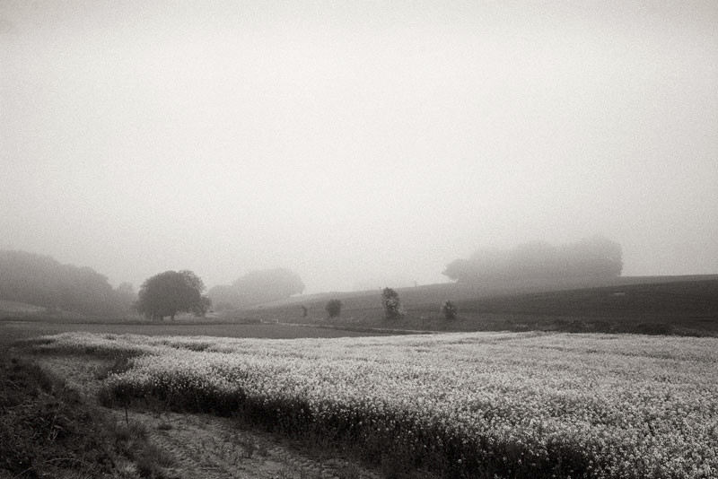 - The Somme