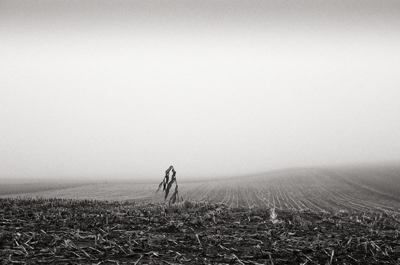 - The Somme