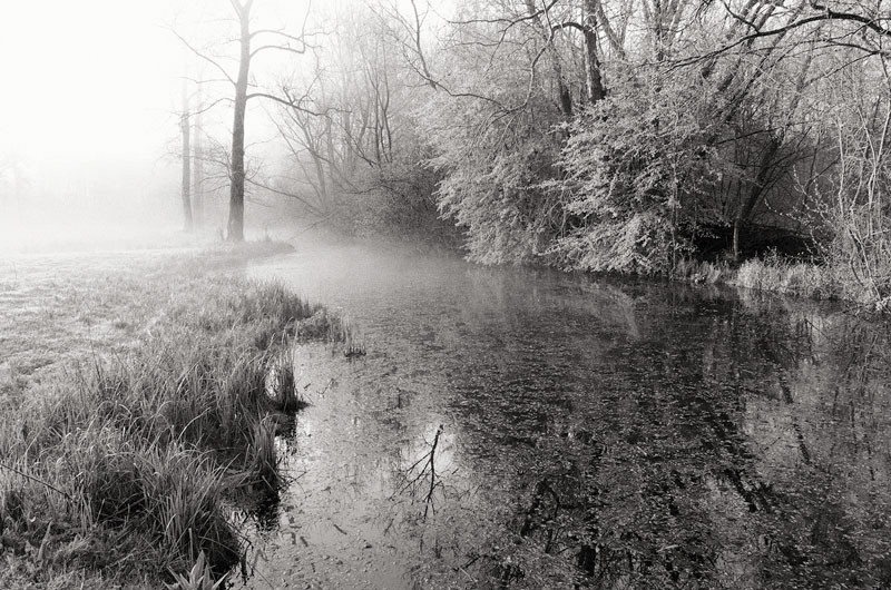  - The Somme