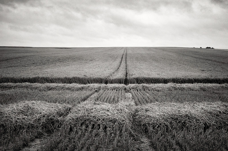  - The Somme