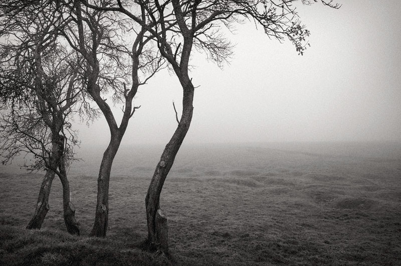  - The Somme