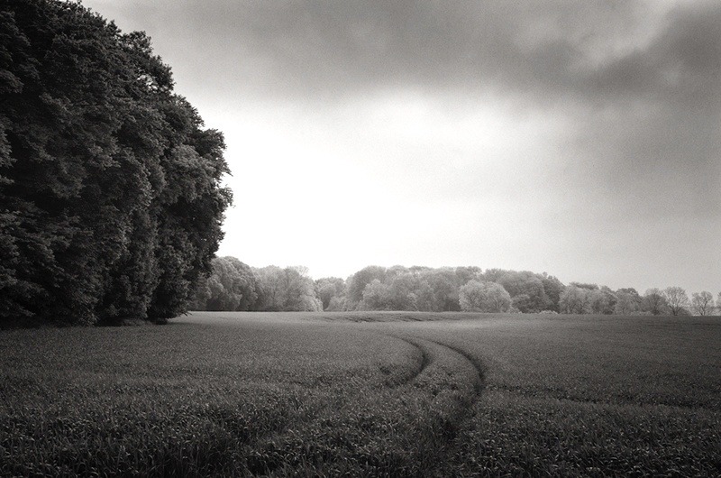 Mametz Wood, Somme by Toby Webster