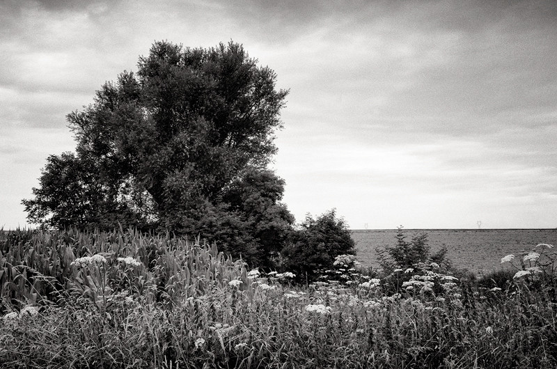  - The Somme