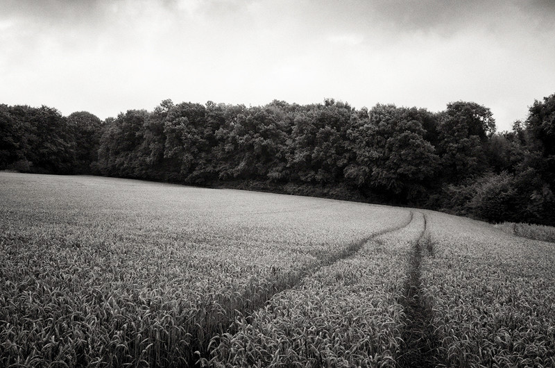 - The Somme