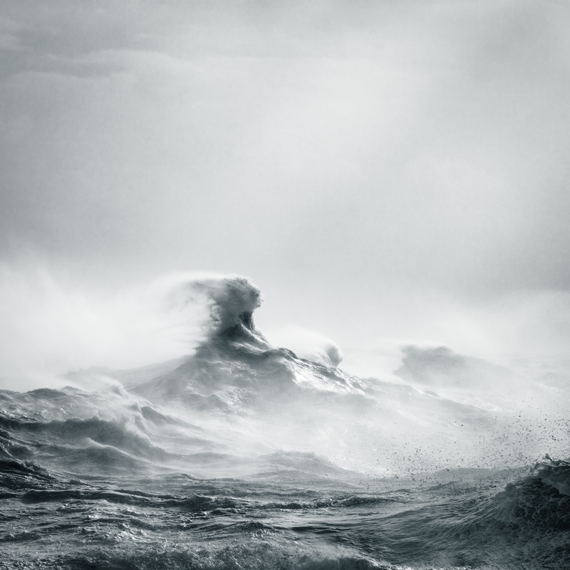 Poseidon Rising- © Rachael Talibart