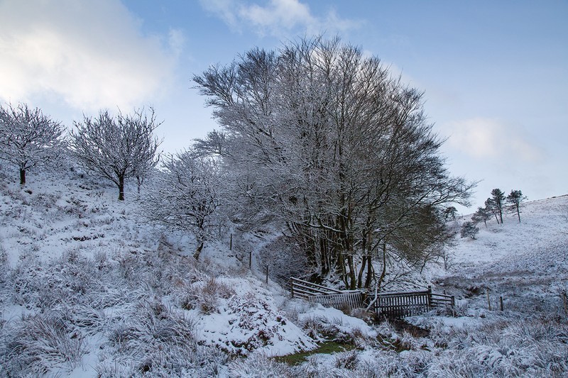 Typical Exmoor winter - Exmoor