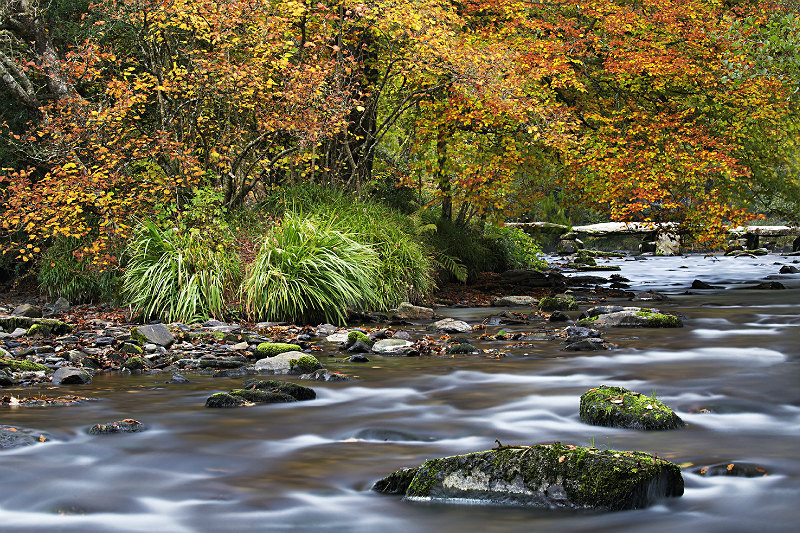 Tarr Steps - Exmoor