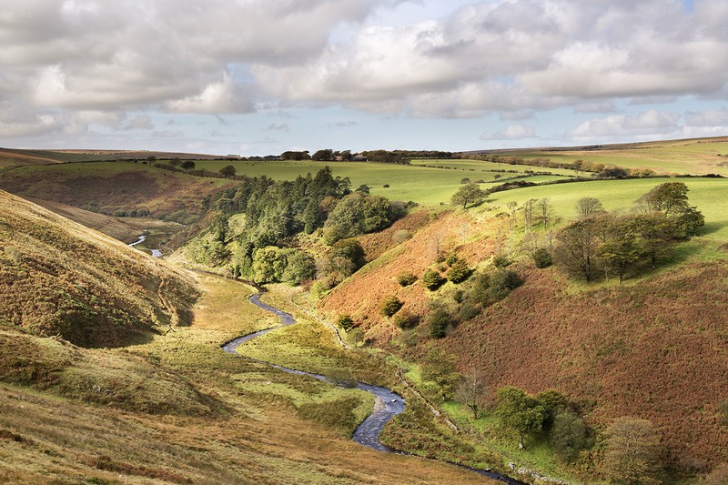Simonsbath Valley - Exmoor