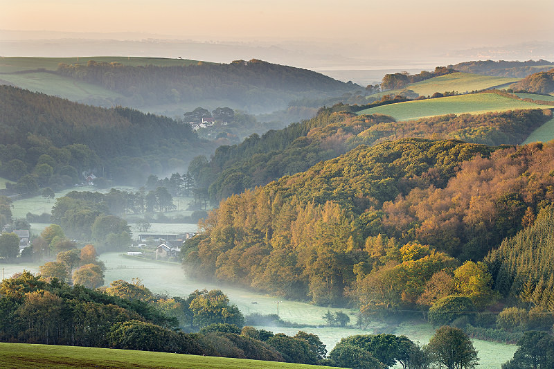 Willingcott Hill knowle - Devon Landscapes