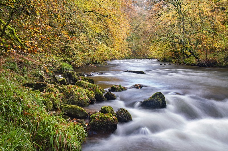 East Lyn Autumn - Exmoor