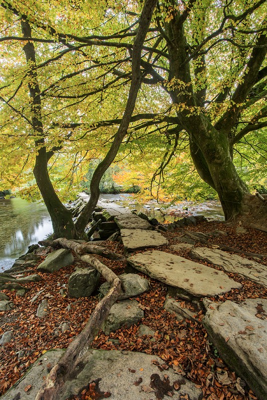 Tarr Steps Autumn - Exmoor