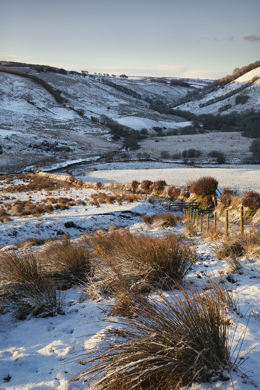 Exmoor late Winter - Exmoor