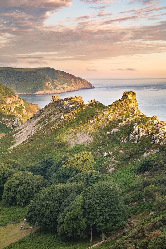 Valley of the Rocks in Summer (Portrait) - Exmoor
