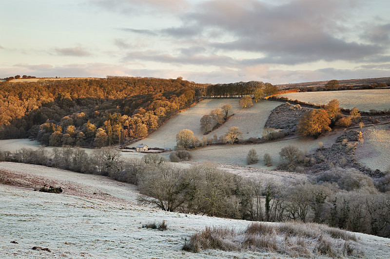 Hawkridge Frost - Exmoor
