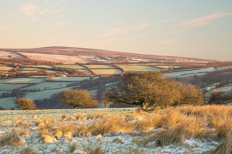 Room Hill, Exmoor - Latest images