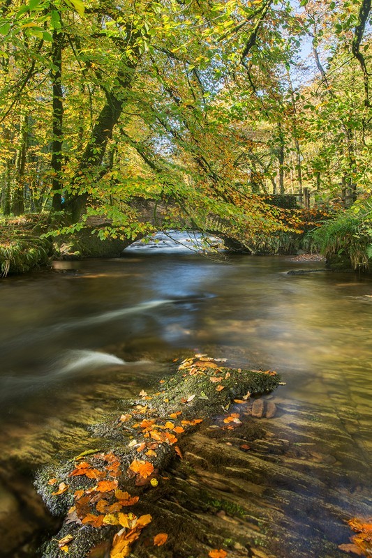 Castle Bridge Autumn - Exmoor