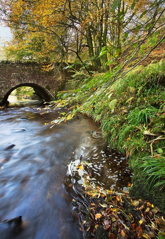 Bridge over Dane's Brook - Exmoor
