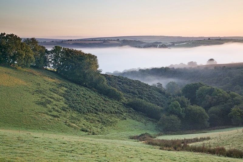 South Molton Mist - Exmoor