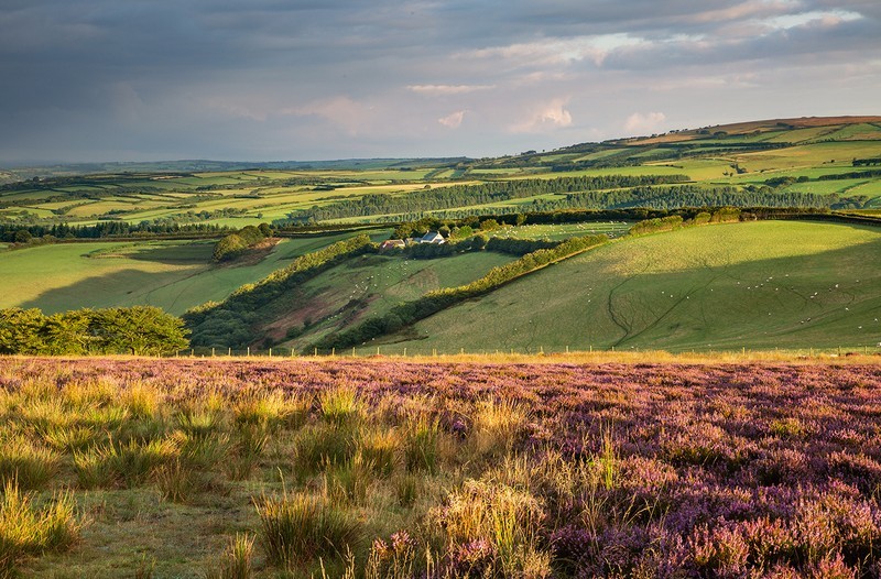 North Molton Ridge - Exmoor