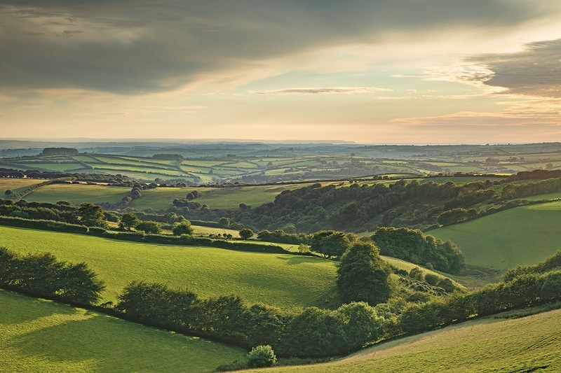 Above North Molton - Exmoor