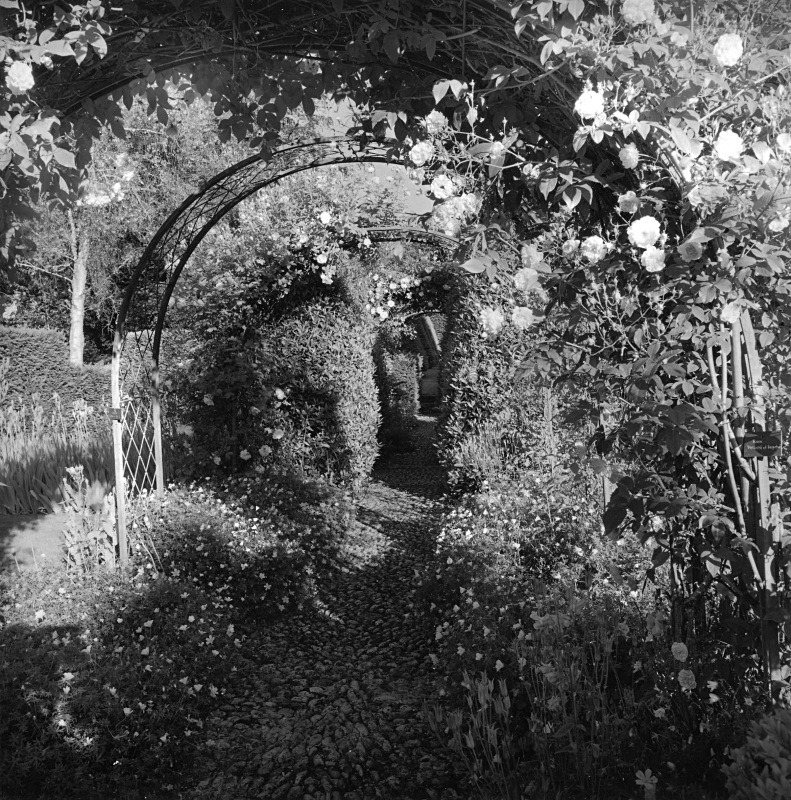  - Gardens at The Old Rectory, Netherbury