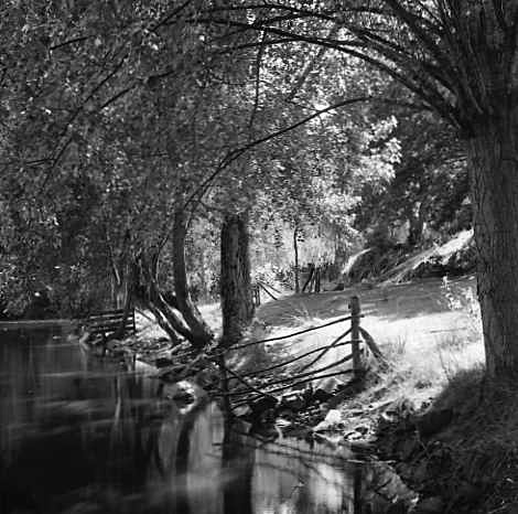 Le Corboulo, Brittany, France - Trees beside water
