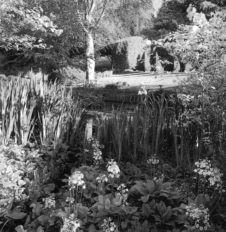  - Gardens at The Old Rectory, Netherbury