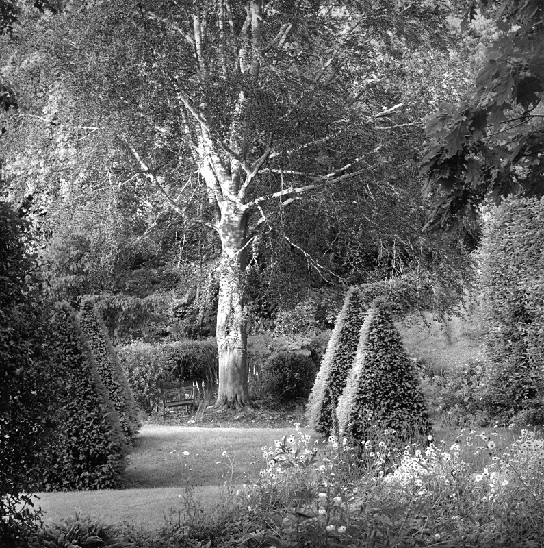  - Gardens at The Old Rectory, Netherbury