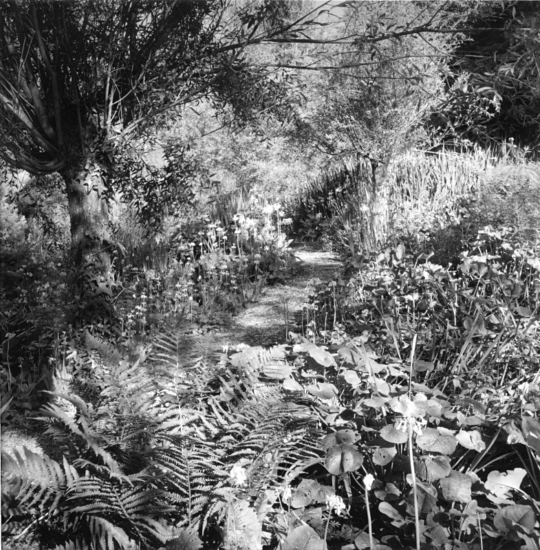  - Gardens at The Old Rectory, Netherbury