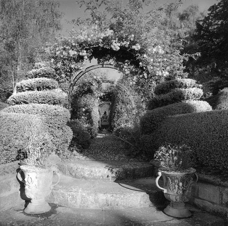  - Gardens at The Old Rectory, Netherbury