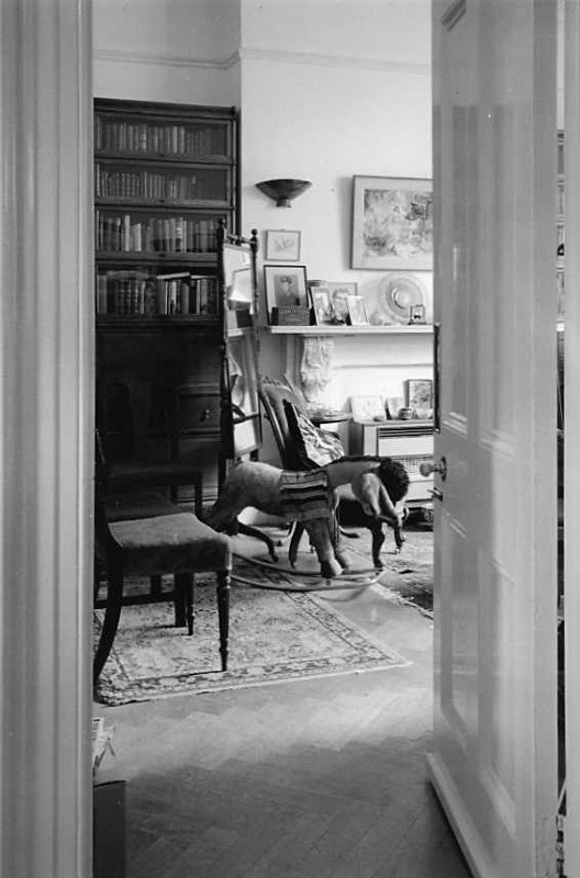  - Walter Carrington's study